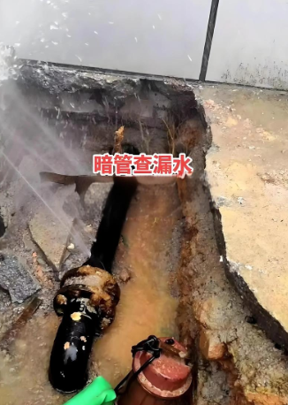 设备检漏与记录图